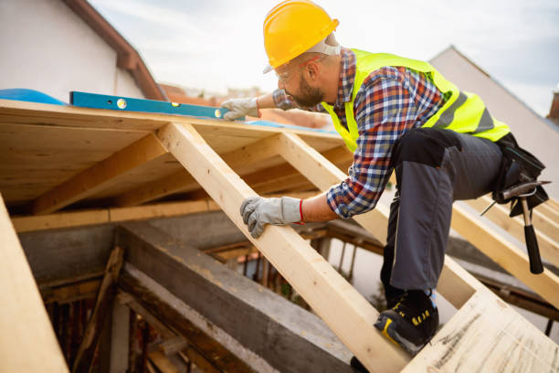 Best Roof Gutter Cleaning  in Salado, TX